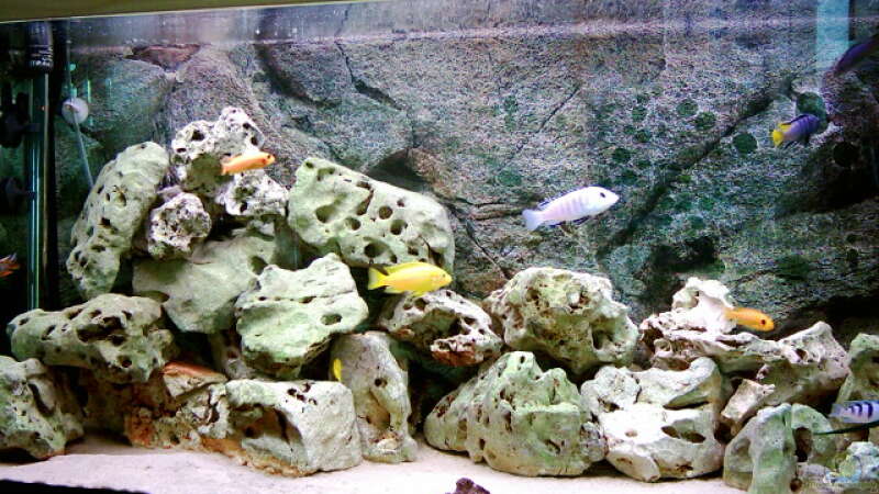 Dekoration im Aquarium Becken 415 von Kay Bergmann (10)