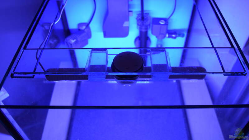 Glasstreifen ca. 4 cm Dicke zur Befestigung der Unterwasser LED Leuchte von Junglist (12)