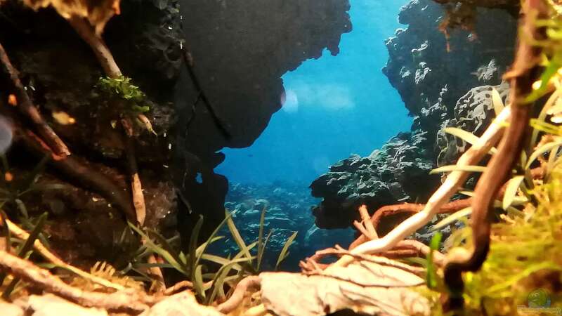 Blick in die Höhle und links befindet sich das offene Türblatt von Bermuda 3eck (28)