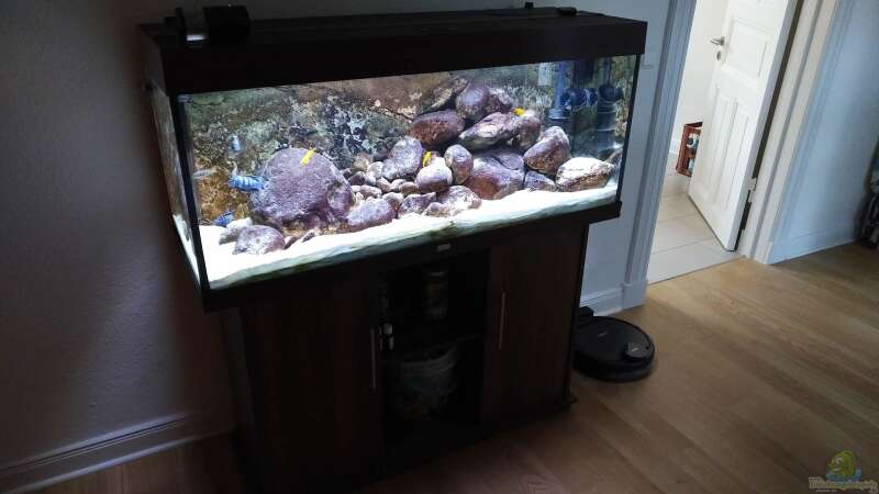 Das Becken mit Unterschrank in der Wohnung von aquariumwelt (6)