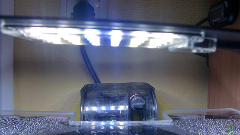 LED Lampe von HOTU (25)