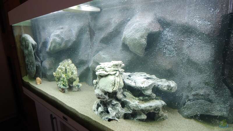 Aquarium Tanganjika-Becken von Shayla (5)
