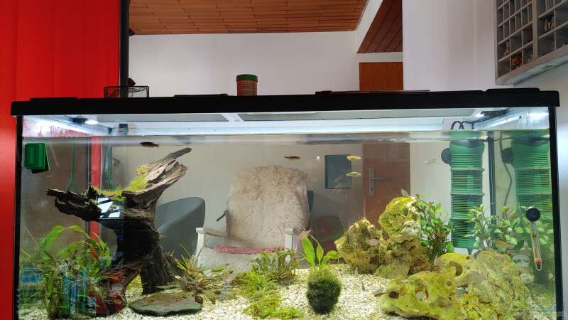Aquarium Front von Aiyana (4)