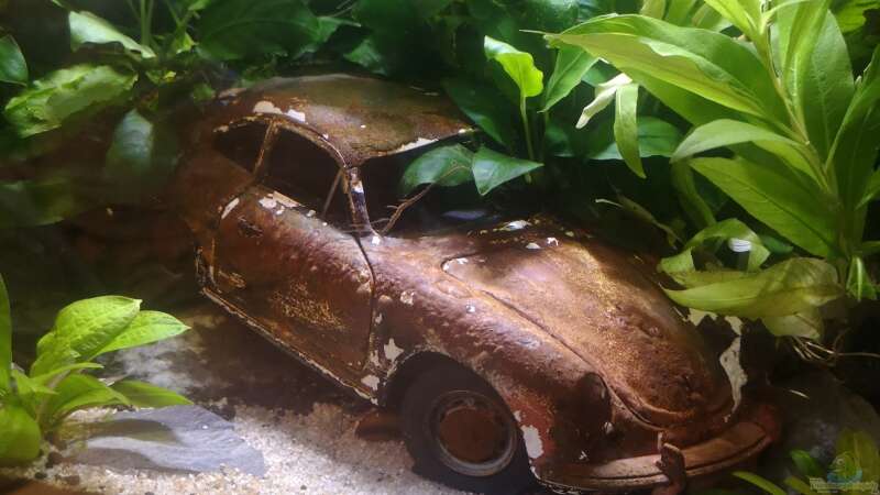 Dekoration im Aquarium Lost Car -  Fluval Edge I von Mas Max (3)