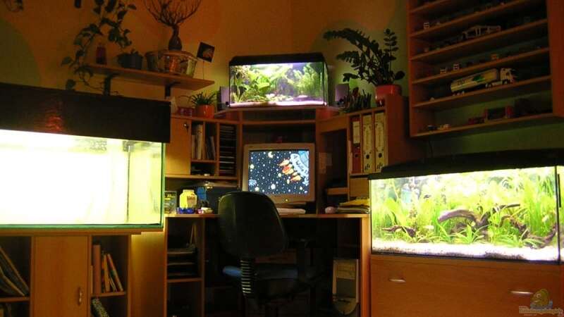 Mein PC-Aquarium Eck-links 230l ist noch nicht fertig von Daniela Rathgeb (6)