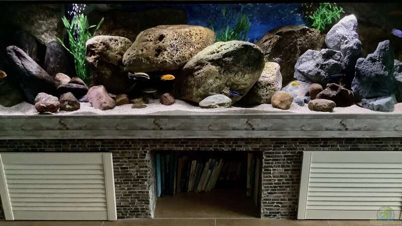 Aquarium Fishbowl von Mundo (3)
