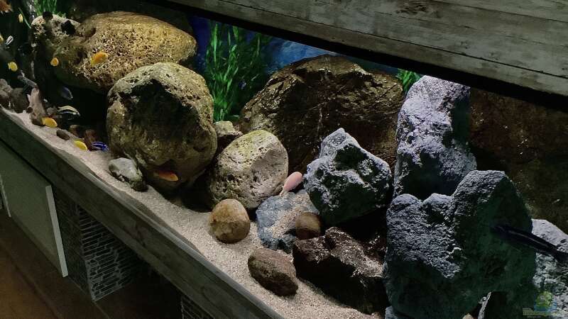 Aquarium Fishbowl von Mundo (4)