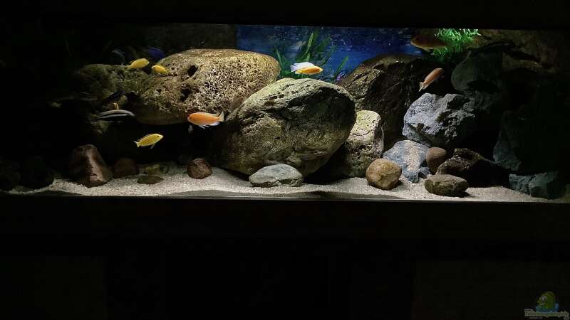 Aquarium Hauptansicht von Fishbowl
