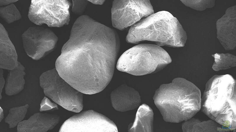 Rasterelektronenmikroskopbild des Sand bei 240x Vergrößerung - überwiegend kantengerundete von ravaka (27)