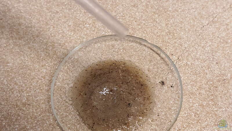 Test des Sandes mit verdünnter Salzsäure - Nichts schäumt, keine Härtebildner von ravaka (26)