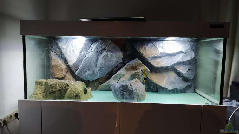 Dekoration im Aquarium Mbuna Becken (Einlaufphase) von Jan83 (10)