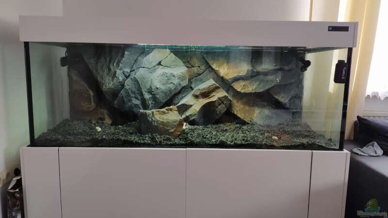 Dekoration im Aquarium Mbuna Becken (Einlaufphase) von Jan83 (11)