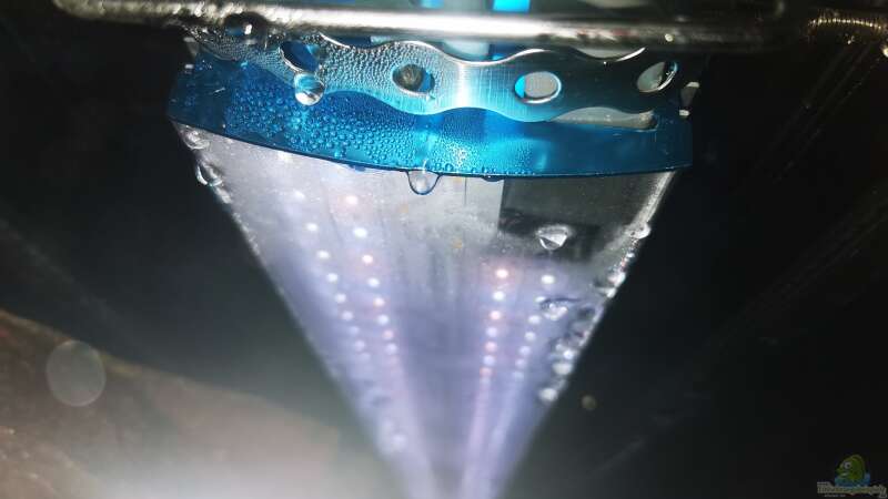 Befestigung der LED-Lampen im Gehäuse mit Edelstahl-Gewindestange & Lochband von Odonata (21)