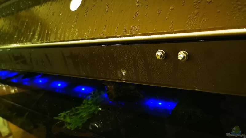 Die Gewindestangen halten mit Lochband die LEDs an Ort und Stelle von Odonata (14)