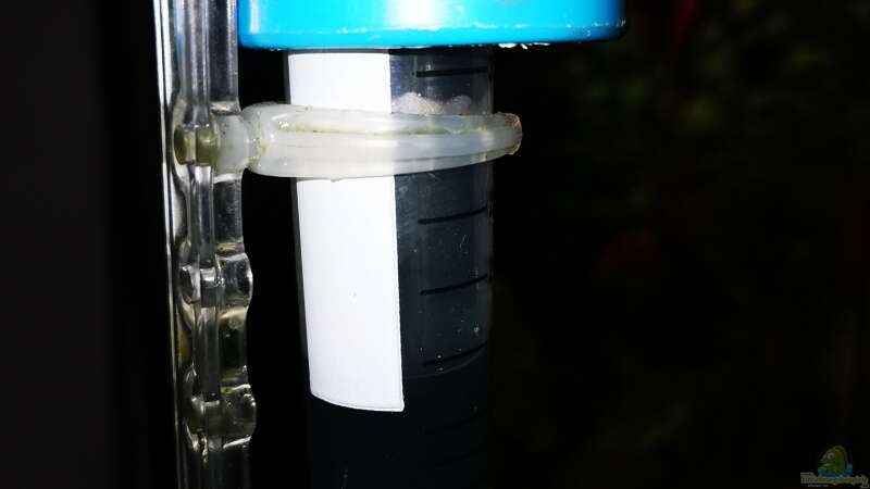 pH-Sonde mit Deckel in CO2-Testflüssigkeit von Odonata (25)