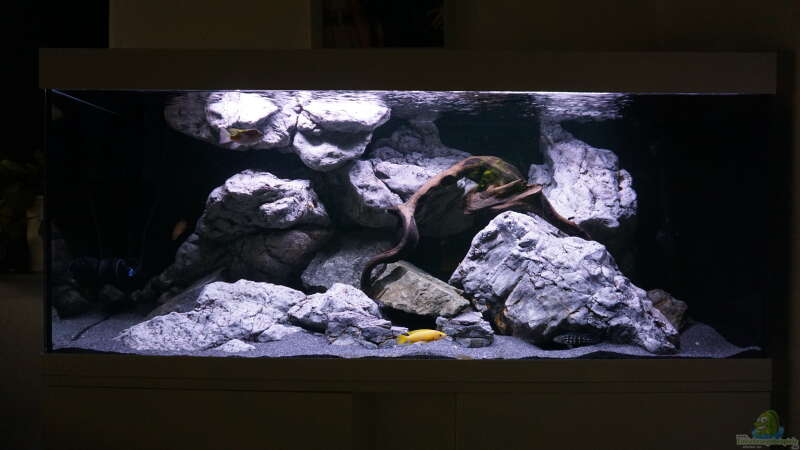 Aquarium Vivaline Rocks von Hero67 (3)