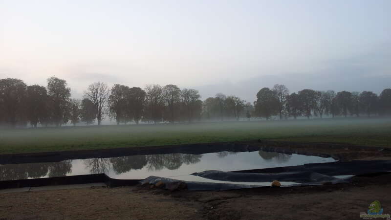 Teich im Morgennebel von Martinerft (4)