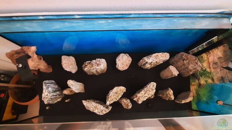 Aquarium Glimmer Rock von Antschi (2)