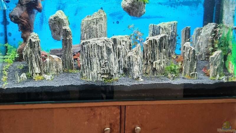 Aquarium Glimmer Rock von Antschi (4)