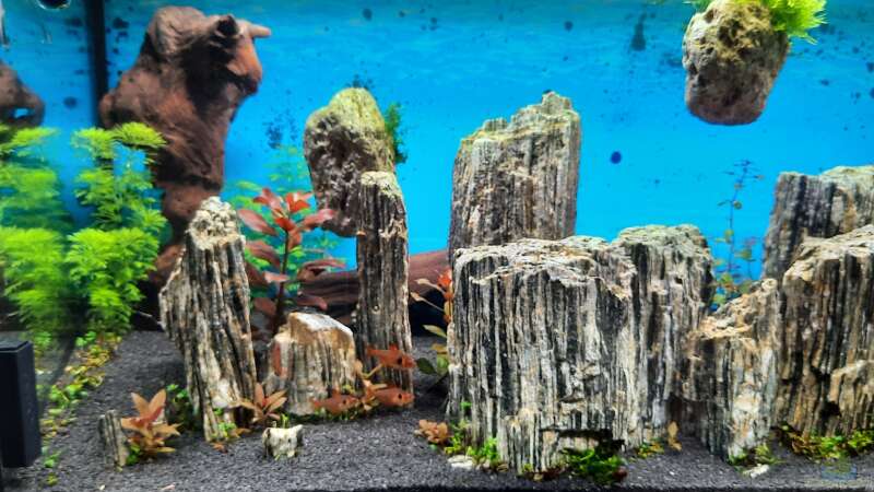 Aquarium Hauptansicht von Glimmer Rock