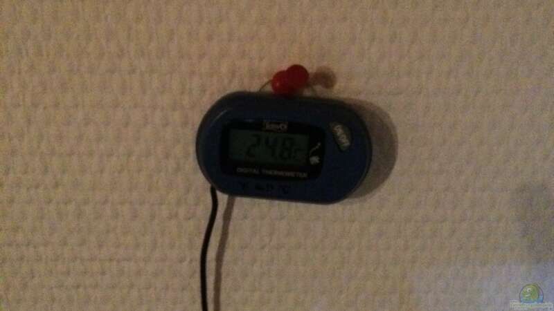 17.11.2021 Digitalthermometer von herkla (31)