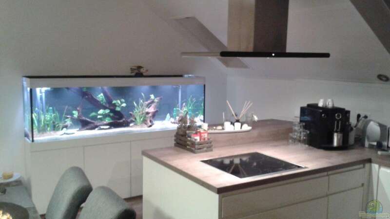 Aquarium Küchenseite von Klaus R (16)