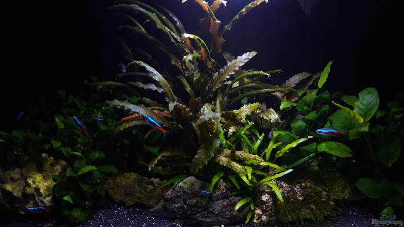 Hauptbild aus dem Beispiel Panda and Friends Hauptbild aus dem Beispiel Panda and Friends