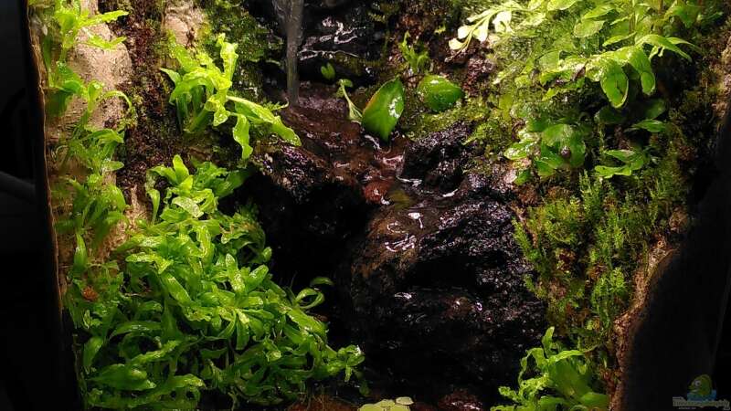 Aquarium Hauptansicht von Kleiner Wasserfall von Stephi (1)