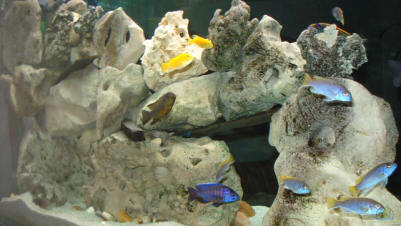 Dekoration im Aquarium Becken 4511 von Miki Öry (4)