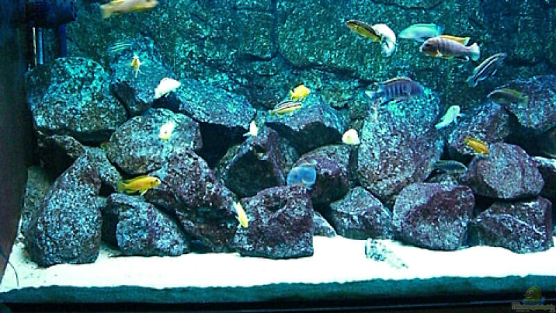 Aquarium Becken 4815 von Christian Dornieden (6)