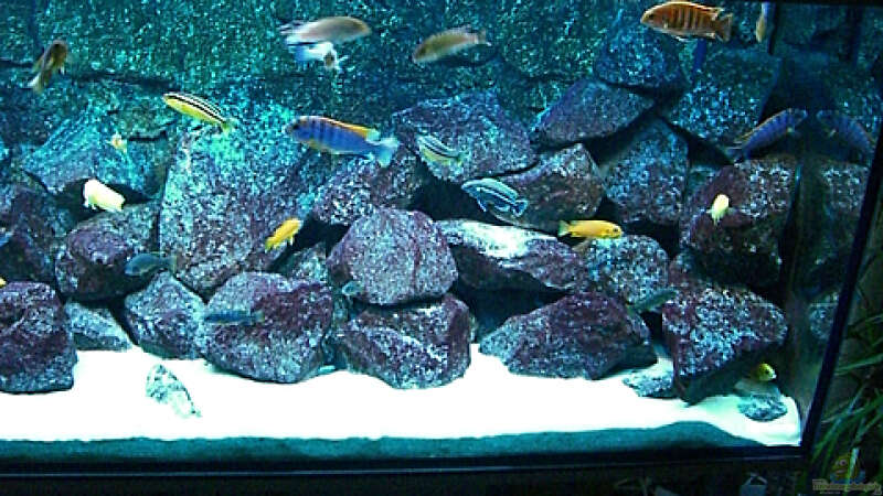 Aquarium Becken 4815 von Christian Dornieden (7)