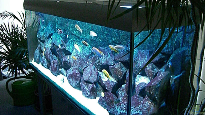 Aquarium Becken 4815 von Christian Dornieden (8)