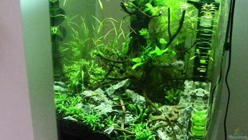 Aquarium GreenWave von Mario Pich (4)