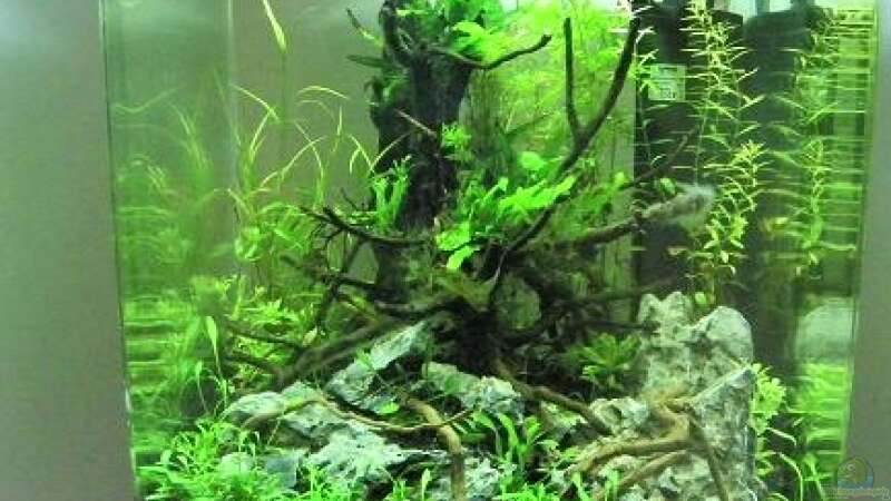 Aquarium GreenWave von Mario Pich (5)