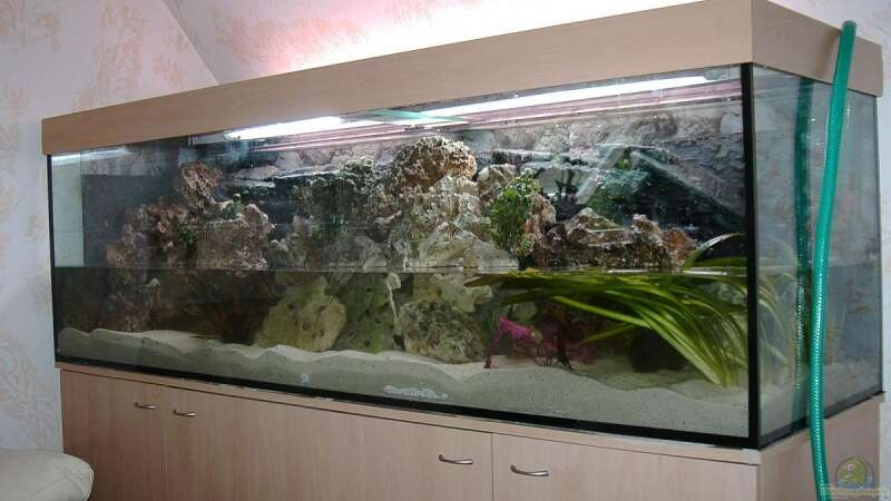 Aquarium Becken 4916 von Olli% (4)