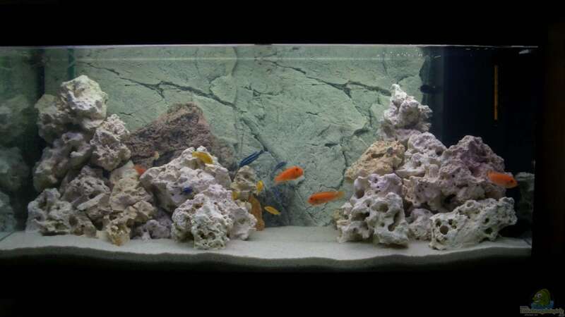 300 Liter Aquarium Rio 300 von Juwel