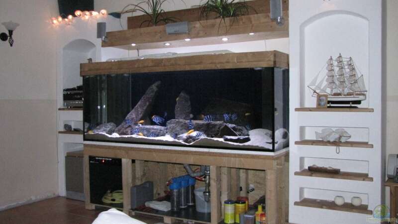 Aquarium Wohnzimmer von AquaMalawi (2)