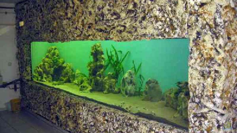 Aquarium Becken 5187 von Thomas Mörschel (2)