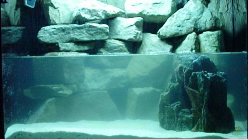 Dekoration im Aquarium Becken 5244 von LISA (11)