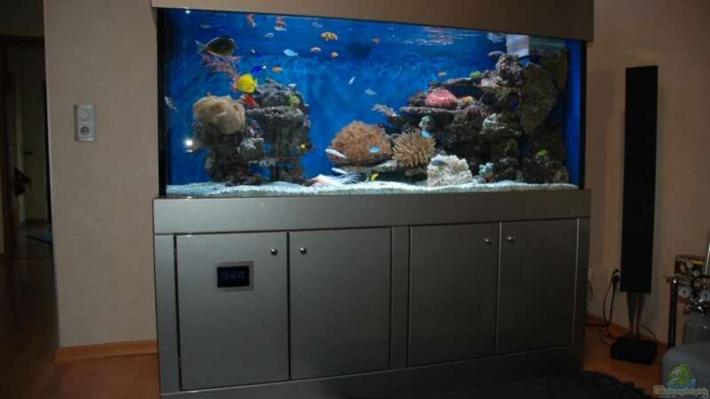 Dekoration im Aquarium Becken 5951 von Christian Fenzel (15)