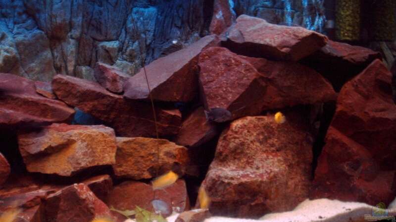Aquarium Becken 6135 von MDenzer (2)