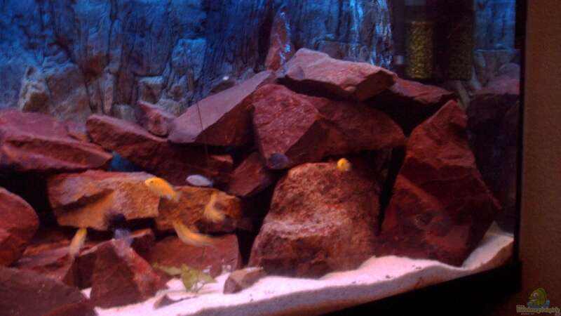 Aquarium Becken 6135 von MDenzer (5)