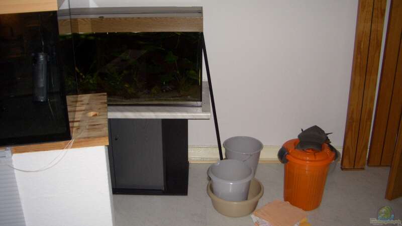 Vobereitungen für die Aktion von Knorpelfisch (4)