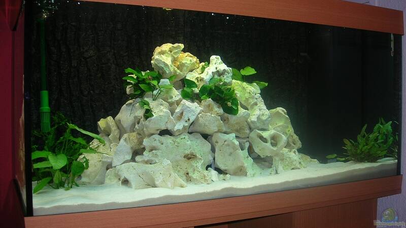 Aquarium Becken 6399 von ehemaliger User (1)