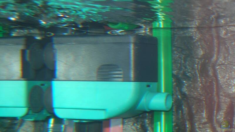 Technik im Aquarium Becken 6399 von ehemaliger User (13)