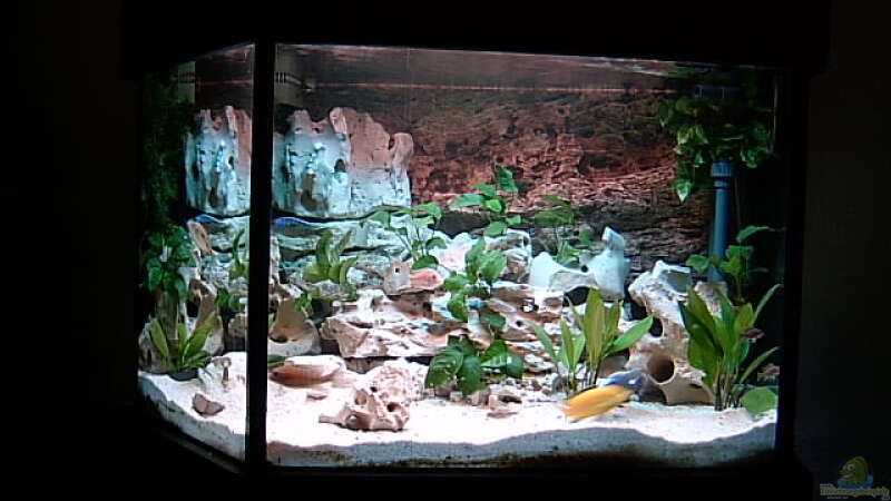 Aquarium Becken 643 von Steffen Langer (3)