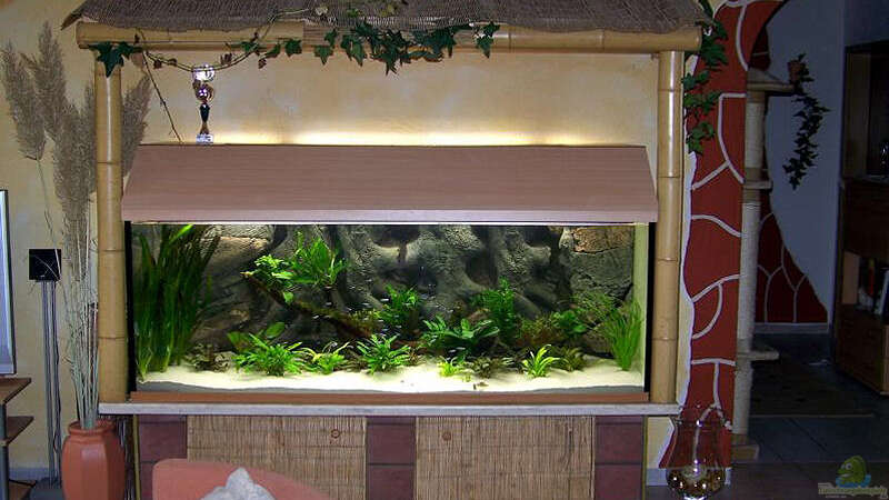 Aquarium Becken 650 von Sandro Di Giandomenico (3)