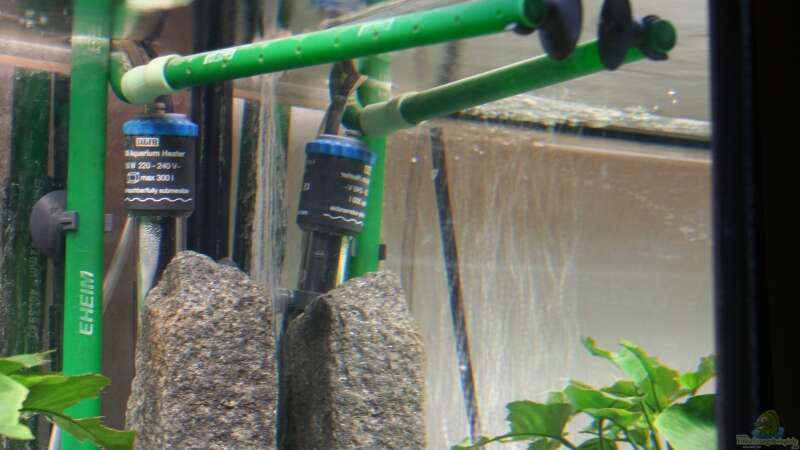 Technik im Aquarium (hier noch ohne Strömungspumpe) von lützkopf (10)