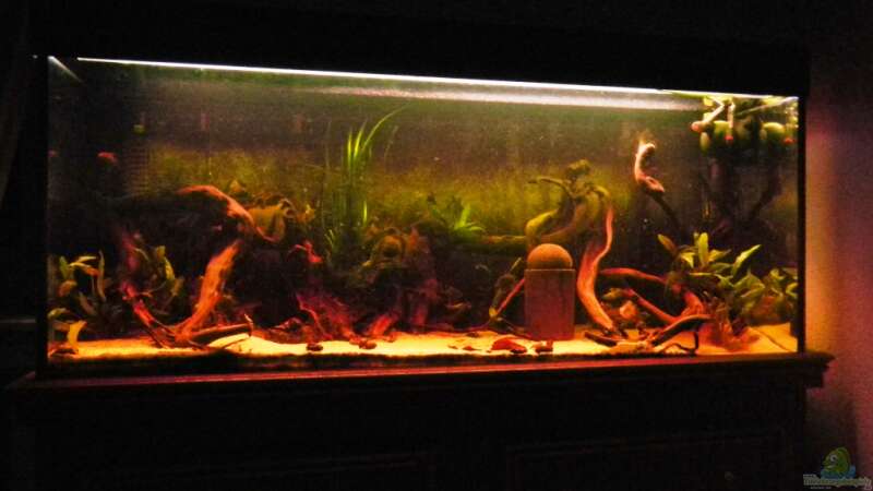 Aquarium die dunkle seite von killerloop2004 (2)