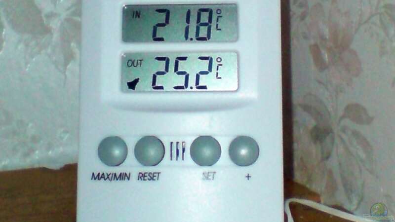 Die obere Angabe ist für die Raumtemperatur, die Untere ist die Beckentemperatur. von timme (30)